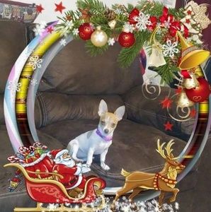 Meet your Posher, Patsy